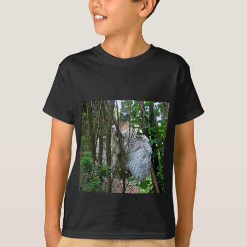 Immature Red Tailed Hawk Coordinating Items T_Shirt