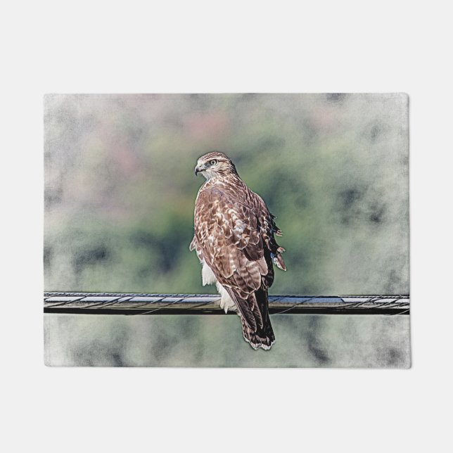 Immature Red Tailed Hawk Doormat (Front)