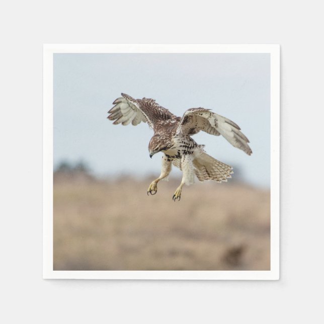 Immature Red Tailed Hawk Hovering Paper Napkins (Front)
