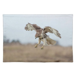 Immature Red Tailed Hawk Hovering Placemat