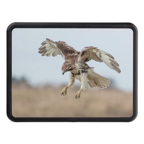 Immature Red Tailed Hawk Hovering Trailer Hitch Cover