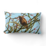 Immature Red-Tailed Hawk in Ocotillo Bush Lumbar Pillow