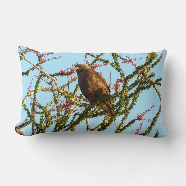 Immature Red-Tailed Hawk in Ocotillo Bush Lumbar Pillow (Front)