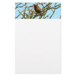 Immature Red-Tailed Hawk in Ocotillo Bush Stationery