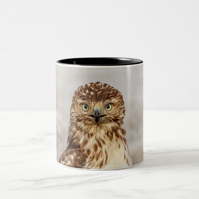 Immature Red-Tailed Hawk on the ground Two-Tone Coffee Mug (Center)