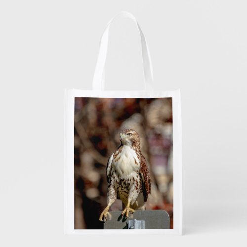 Immature Red Tailed Hawk Reusable Grocery Bag