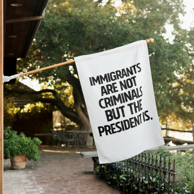 Immigrants Are Not Criminials But the President Is House Flag (In SItu)