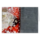 Immortality 2 (Front Horizontal)