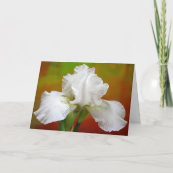 "immortality" Iris Photography Holiday Card by time2see at Zazzle