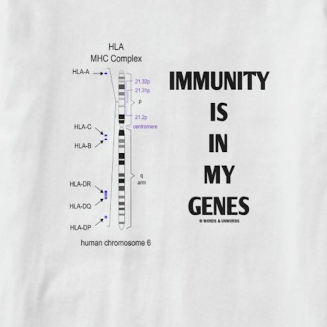 Immunity Is In My Genes (Immunology Chromosome 6) T-Shirt (Major histocompatibility genes are found on Chromosome 6 - a.k.a. Immunity Is In My Genes)