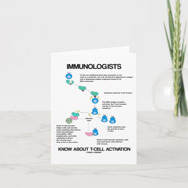 Immunologists Know About T-Cell Activation Card (Front)