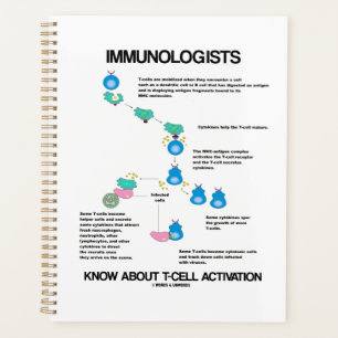 Immunologists Know About T-Cell Activation Planner