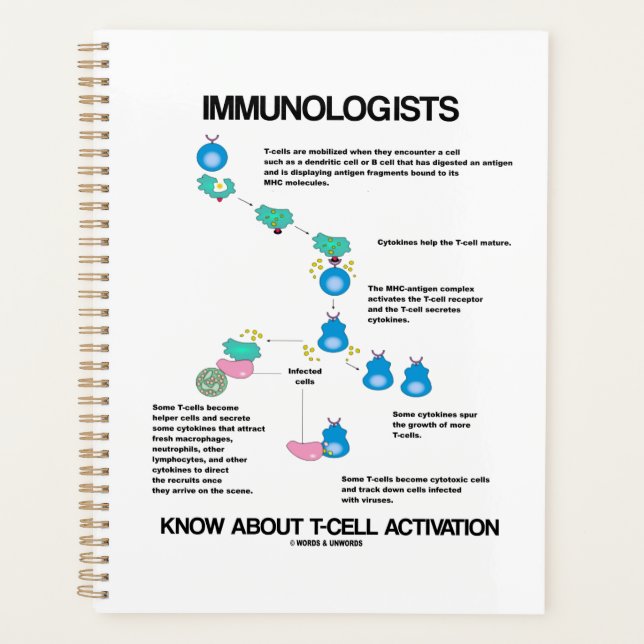 Immunologists Know About T-Cell Activation Planner (Front)