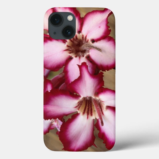Impala Lily (Adenium Multiflorum), Kruger Case-Mate iPhone Case (Back)
