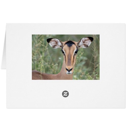 Impala Portrait (Back Horizontal)