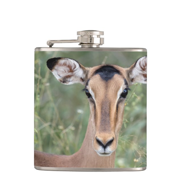 Impala Portrait Flask (Front)