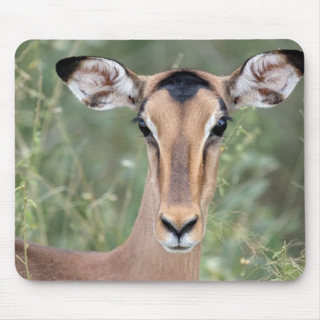Impala Portrait Mouse Pad (Front)