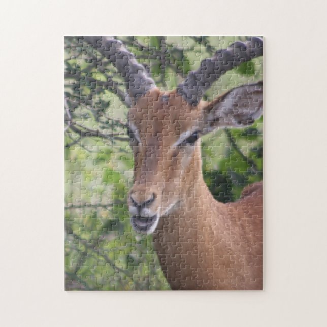 Impala Wildlife Jigsaw Puzzle (Vertical)
