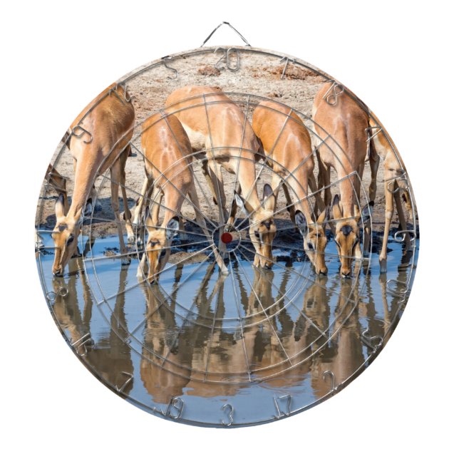 Impalas at the waterhole dart board (Front)