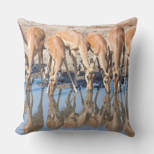 Impalas at the waterhole outdoor pillow