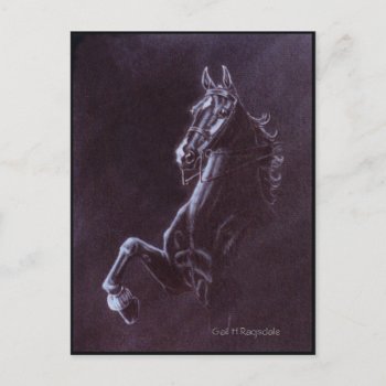 Imperator Postcard by GailRagsdaleArt at Zazzle