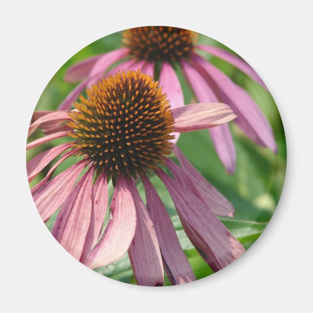 Imperfection Magnet (Front)