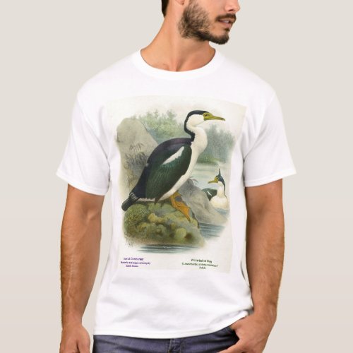 Imperial Cormorant and White_bellied Shag T_Shirt