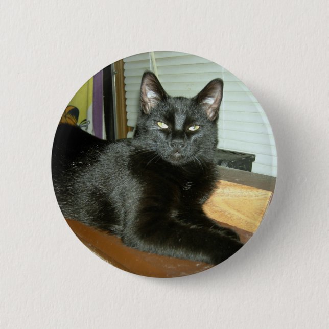 Imperial kitty pinback button (Front)