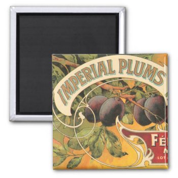Imperial Plums Magnet by SunshineDazzle at Zazzle