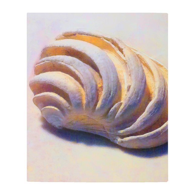 Imperial Venus Shell Metal Print (Front)