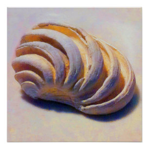 Imperial Venus Shell Poster