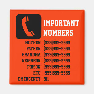 Important contact info for kids, babysitter etc magnet