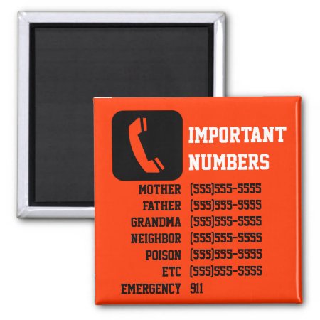Important Contact Info For Kids, Babysitter Etc Magnet