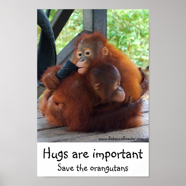Important Inspirational Hugs Poster (Front)