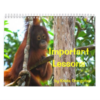 Important Lessons By Krista Orangutan Calendar by Krista_Orangutan at Zazzle