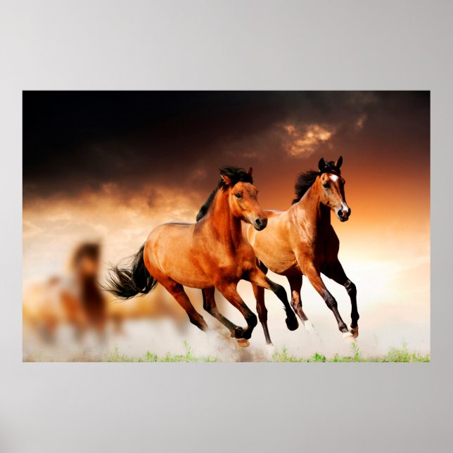 Imposing Wild Brown Horses Poster (Front)