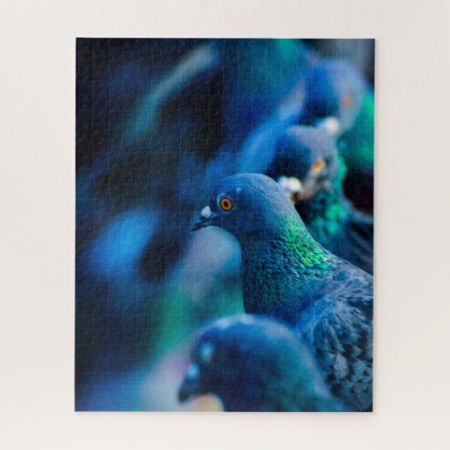 Impossible Puzzle _ Blue Pigeons