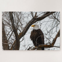 Impossible Puzzle - Haliaeetus