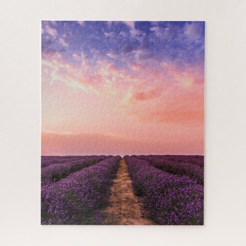 Impossible Puzzle _ Lavender Field