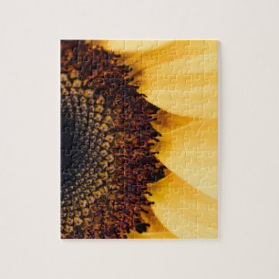 Impossible Puzzle - Macro Sunflower