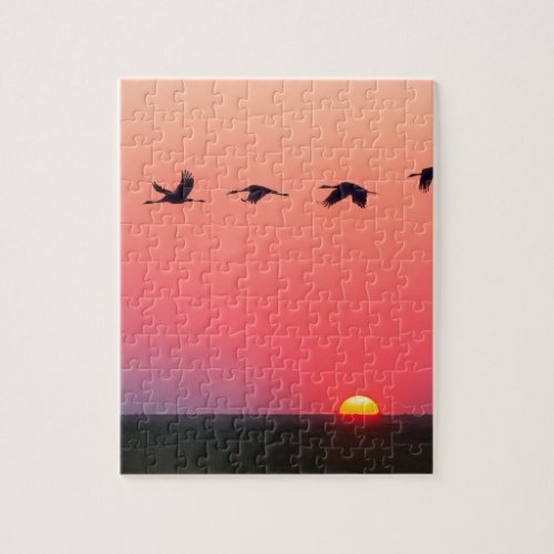 Impossible Puzzle _ Migrating Birds