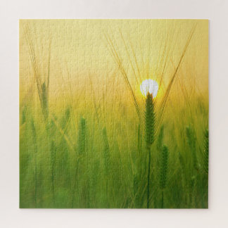 Impossible Puzzle - Morning Wheat