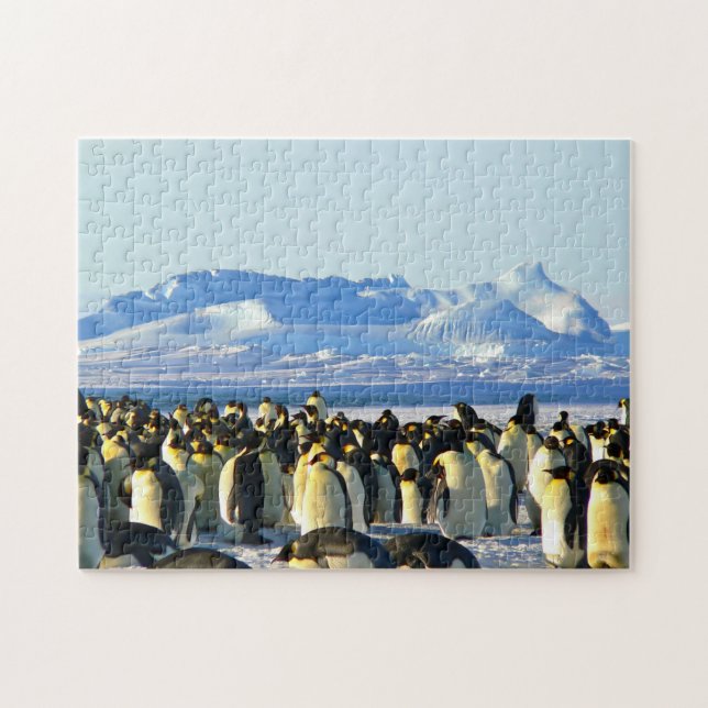 Impossible Puzzle - Penguins Colony (Horizontal)