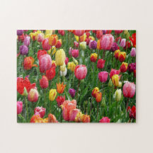 Impossible Puzzle - Tulips