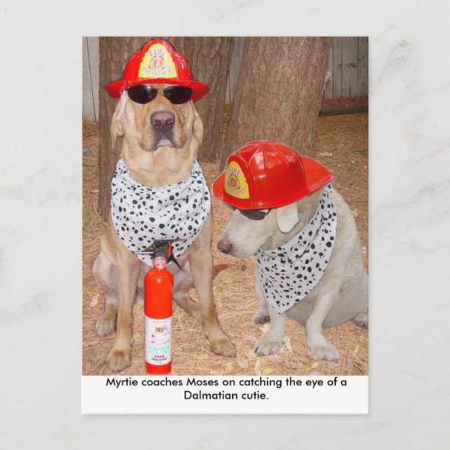 Imposter Postcard (Front)