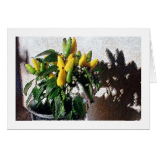 Impression Yellow and Shadow Cards (Front Horizontal)