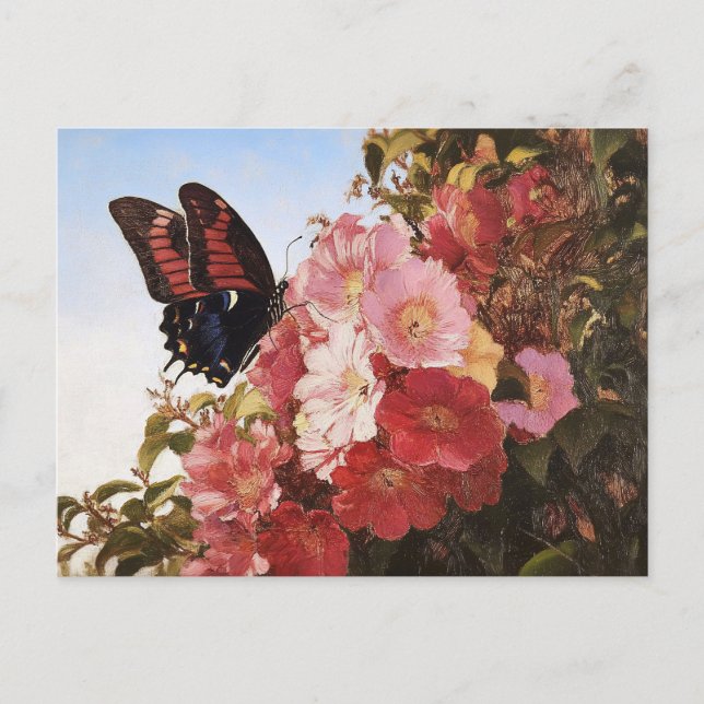 Impressionist Butterfly and Pink Flowers Postcard (Front)