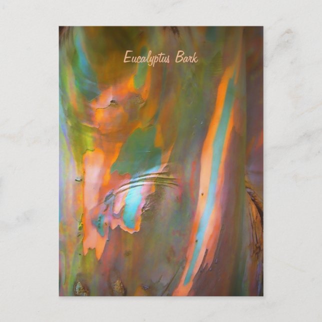 Impressionist-style Eucalyptus Bark Postcard (Front)