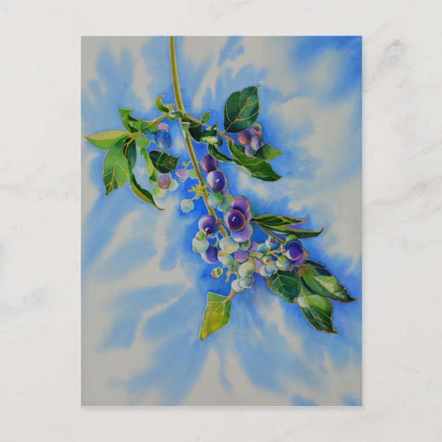 Impressionistic Blueberry painting Postcard (Front)