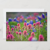 Impressionistic Bluebonnets (Back)